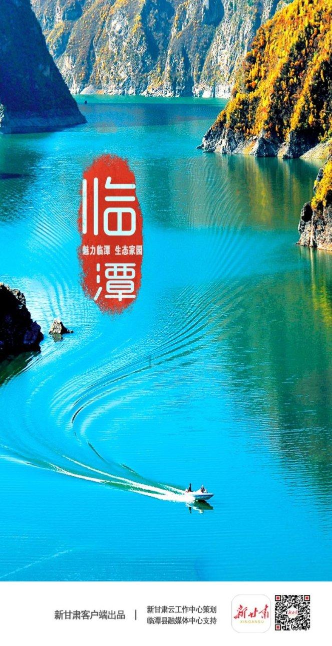 萌犬记忆卡